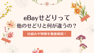 eBayせどりって他のせどりと何が違うの？仕組みや特徴を徹底解説！